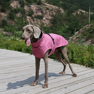 Pet Winter Shell Jacket For Outdoor Adventures