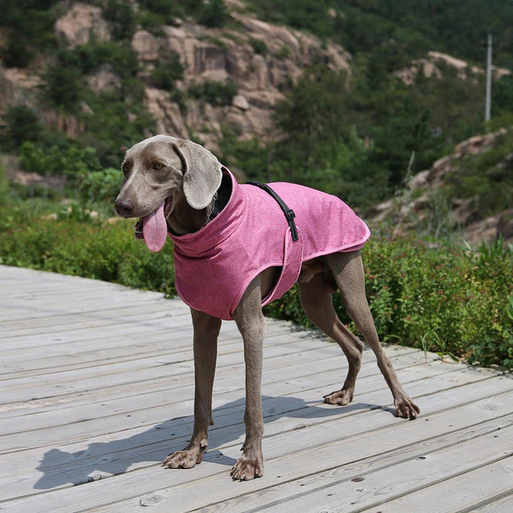 Pet Winter Shell Jacket For Outdoor Adventures