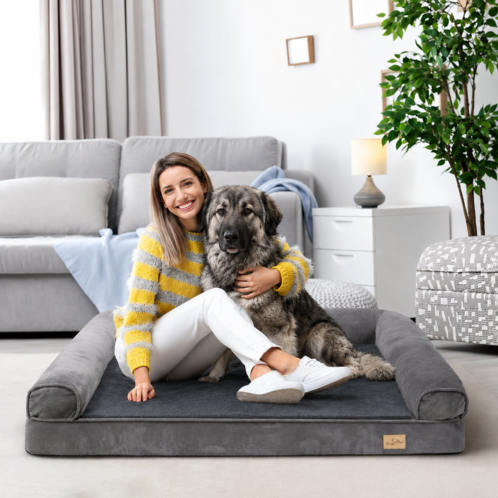 Choosing The Perfect Pet Bed For Comfort