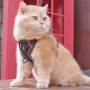 Discover the Ultimate Comfort for Your Furry Friend with Our New Pet Harness Vest and Leash Set