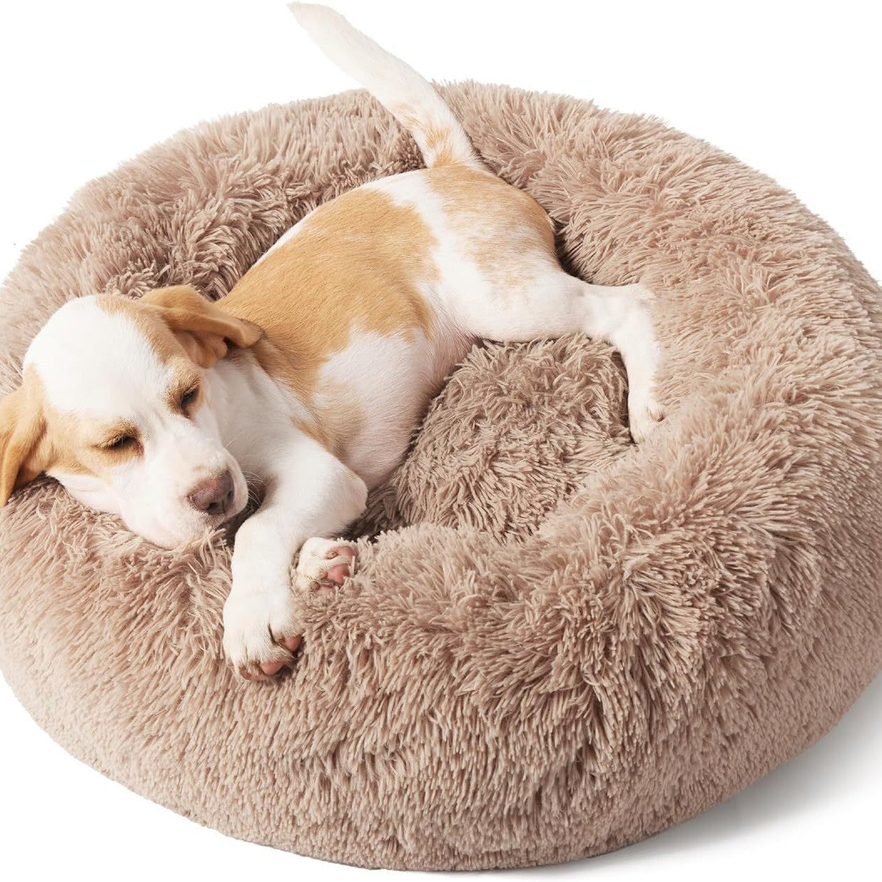 Solid Color Fluffy Pet Round Bed: The Ultimate Comfort for Your Furry Friend